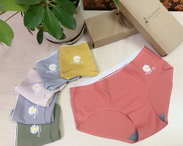 QUẦN LÓT CÚC HOẠ MI COTTON SỢI TRE HOẠT TÍNH KHÁNG KHUẨN CHỐNG VIÊM ÔM TRỌN NÂNG ĐỠ VÒNG 3 Q770 (Video & Ảnh thật) | BigBuy360 - bigbuy360.vn