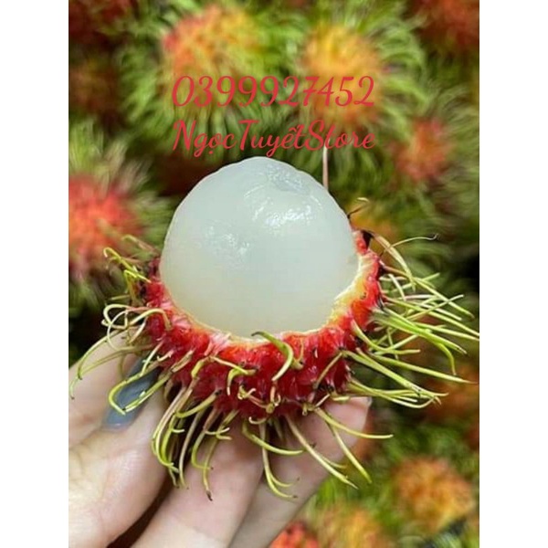 3Kg Chôm Chôm Thái ( Ngọt, Ngon)