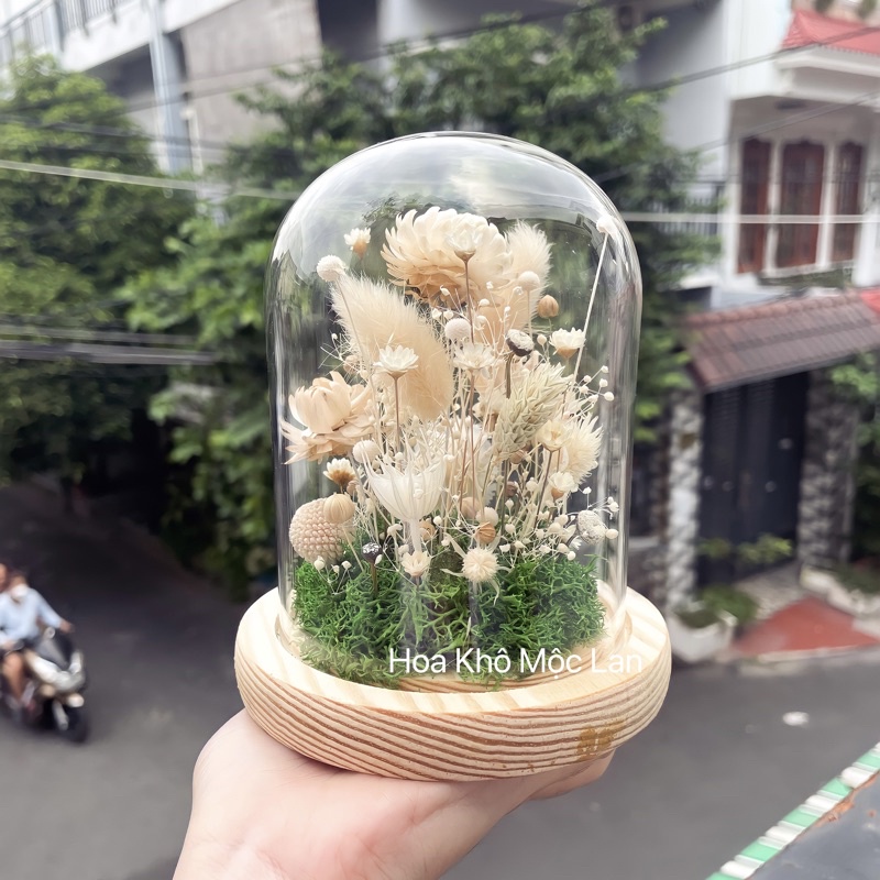 Chụp thuỷ tinh trụ bối cảnh khu vườn màu natural xanh