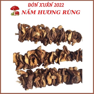 Nấm hương rừng Sapa, đặc sản Tây Bắc chuẩn ngon, hàng loại 1, giàu dinh dưỡng