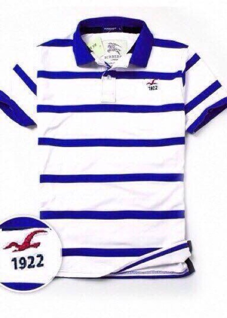 Áo thun Hollis xuất khẩu có size to cho người trên 80kg