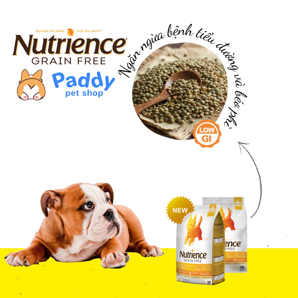 Hạt Nutrience Grain Free Cho Chó Mọi Lứa Tuổi - Gà Tây & Rau Củ Quả