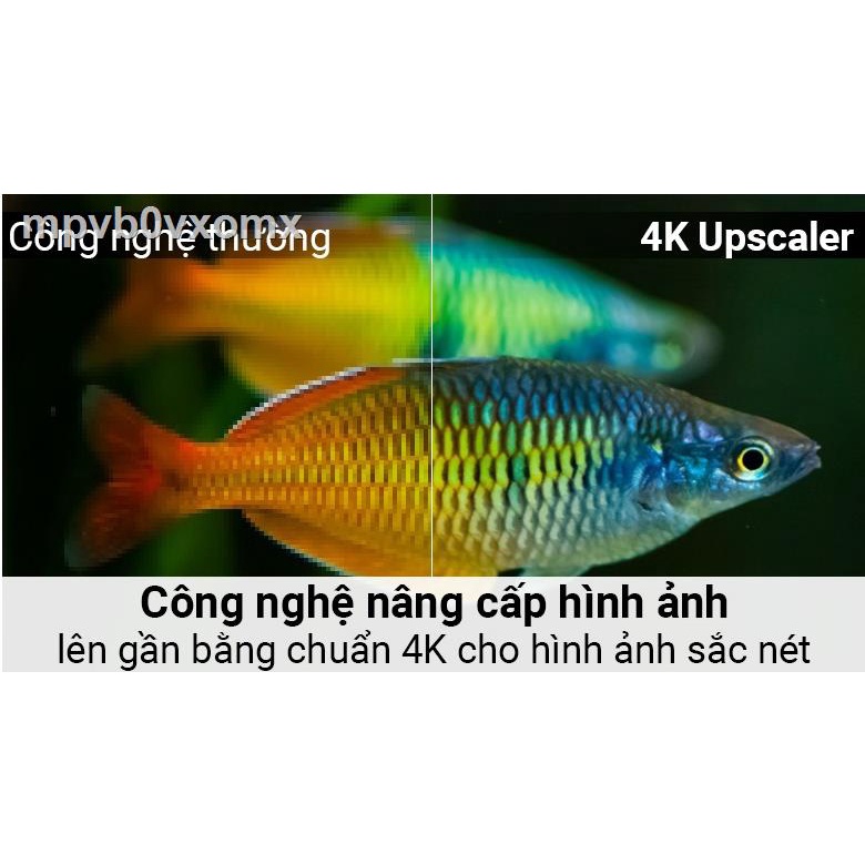 ♚✉Smart Tivi LG 4K 43 inch 43UK6340PTF | BigBuy360 - bigbuy360.vn