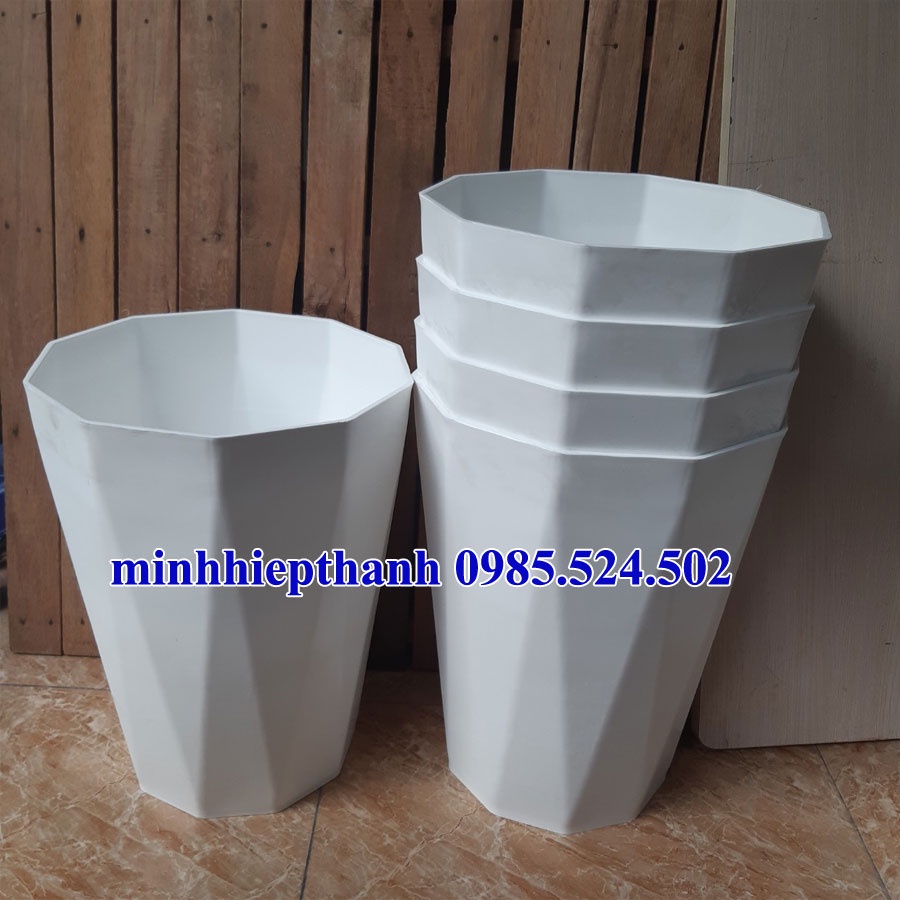 combo 6 chậu nhựa trồng cây hình kim cương