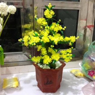 Nguyên liệu làm hoa đá