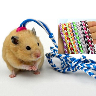 Dây dắt chuột Hamster/thỏ đi dạo chơi 1.4/2m