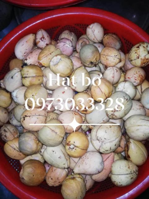 100g BỘT HẠT BƠ NGUYÊN CHẤT RỬA MẶT
