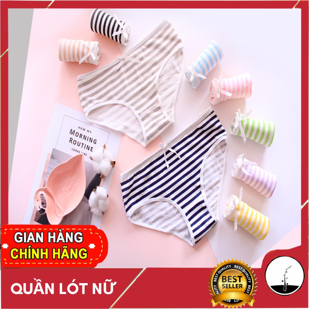 Quần lót nữ phong cách Nhật Bản cực đẹp - Mẫu mới nhất 2019- QL001