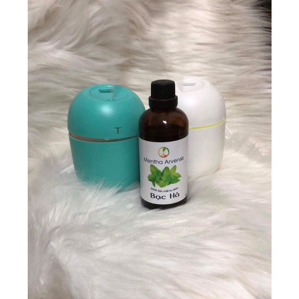 Combo 1 đèn + 1 tinh dầu 10ml