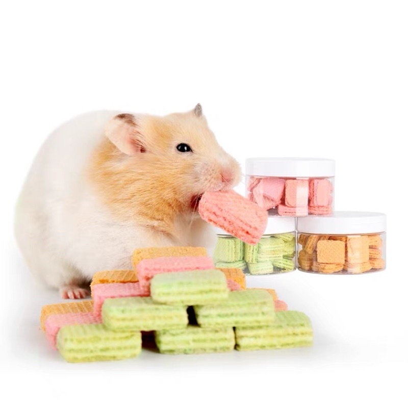 bánh xốp trái cây cho hamster / thỏ/ bọ / sóc/ nhím