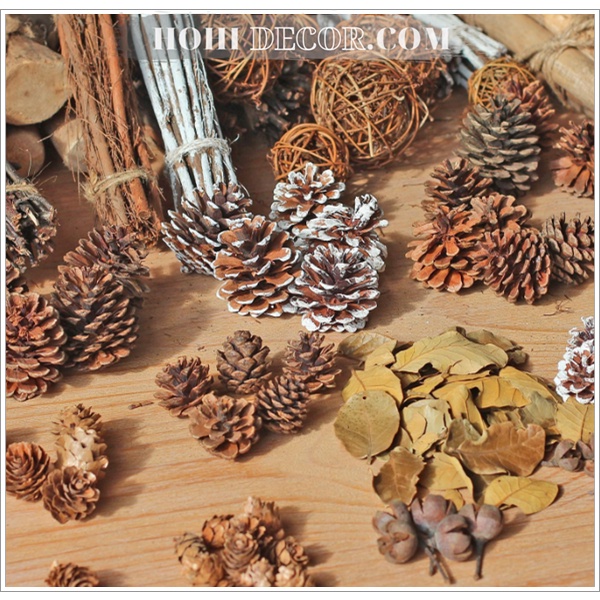 Hạt Thông Decor Trang Trí - Shop Hohi Decor