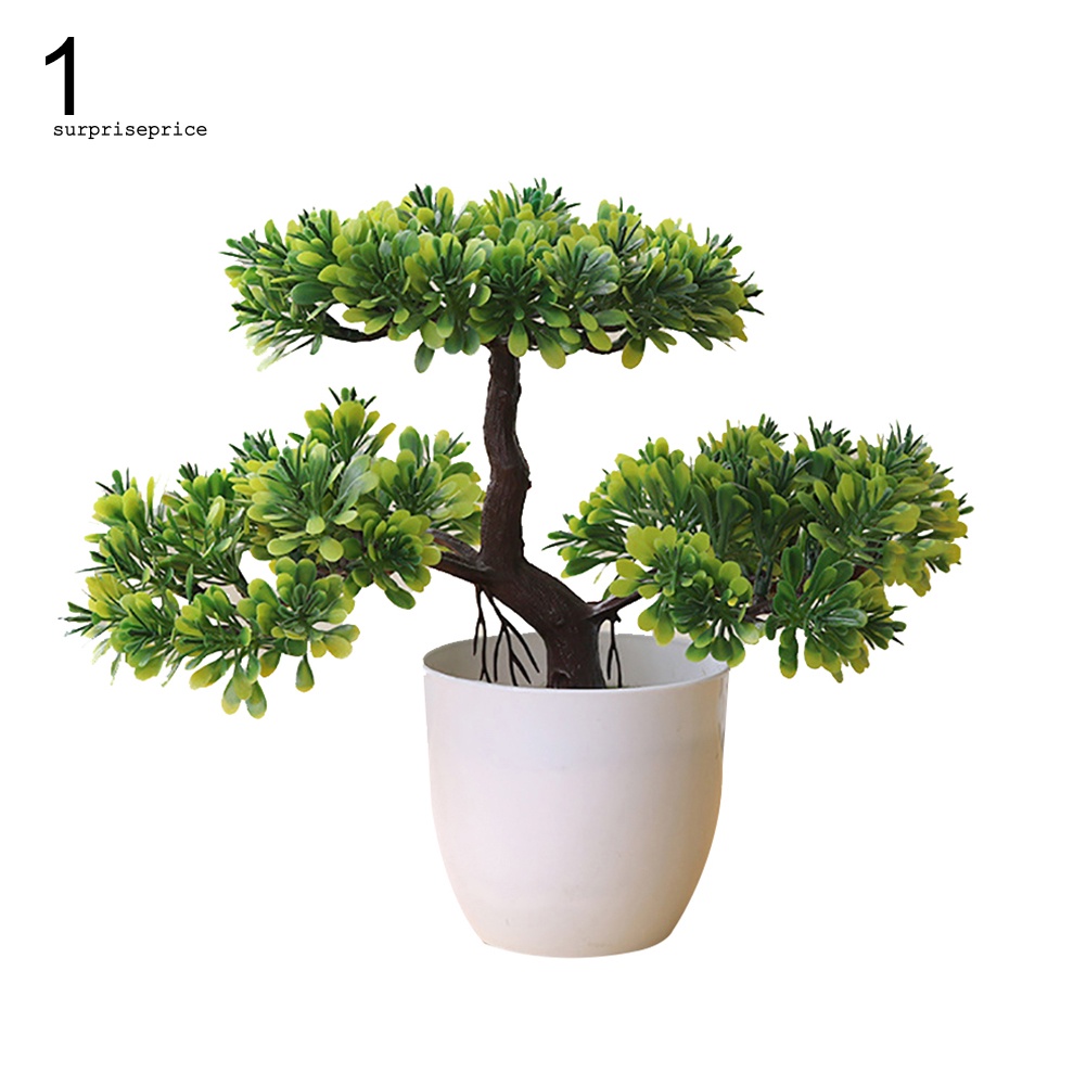 Chậu Cây Bonsai Giả Trang Trí Nhà Cửa / Khách Sạn / Sân Vườn