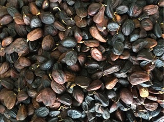 Mắc khén rừng Sapa 100g