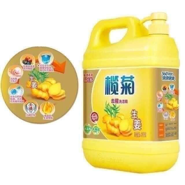 Can nước rửa chén/ rửa bát chiết suất Gừng tươi 1.5L siêu sach, loại bỏ mùi hôi tanh - An toàn cho da tay