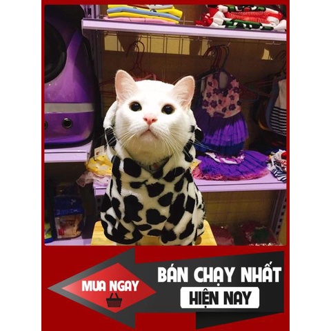 [❌GIÁ SỈ❌] [ SALE SOCK ]Áo Cosplay cho chó mèo giao ngẫu nhiên 0 ❤️