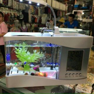 Bể cá cảnh phong thủy mini để bàn