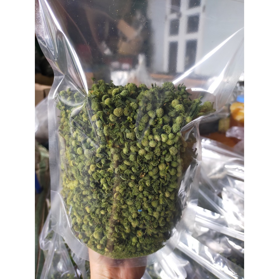 Nụ hoa tam thất chuẩn