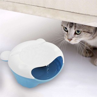 Bình nước tự động cho thú cưng