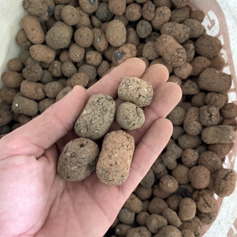 VIÊN ĐẤT NUNG  SFARM