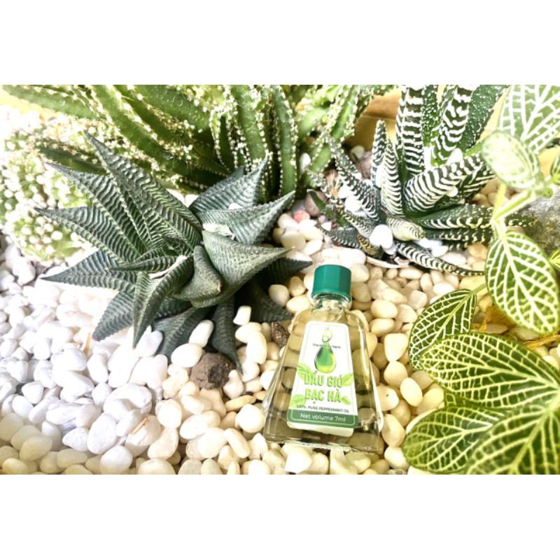 Dầu gió bạc hà The Moshav Farm