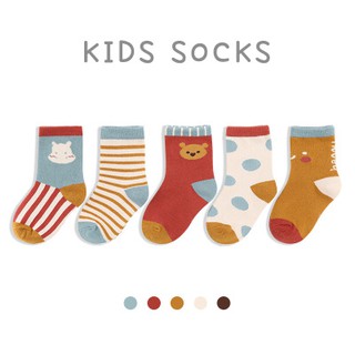 SET 5 đôi Tất cotton cho bé