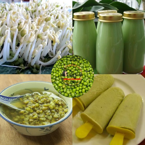 500gr Đậu Xanh Nguyên Hạt SallyFood Hữu Cơ Làm Giá Đỗ, Nấu Chè Xôi Hột  Đỗ Xanh Còn Vỏ Sạch - Shop Nông Sản  Quê