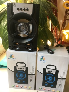 Loa nghe nhạc bluetooth 401