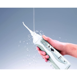 Máy Tăm Nước Panasonic EW1411 [ Hàng Đức ]