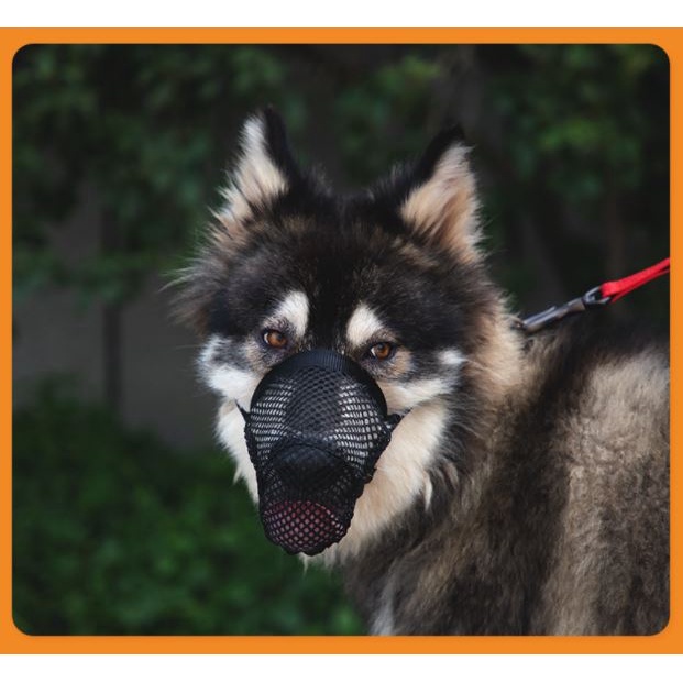 YOUNICE Rọ mõm lưới huấn luyện cắn phá, sủa