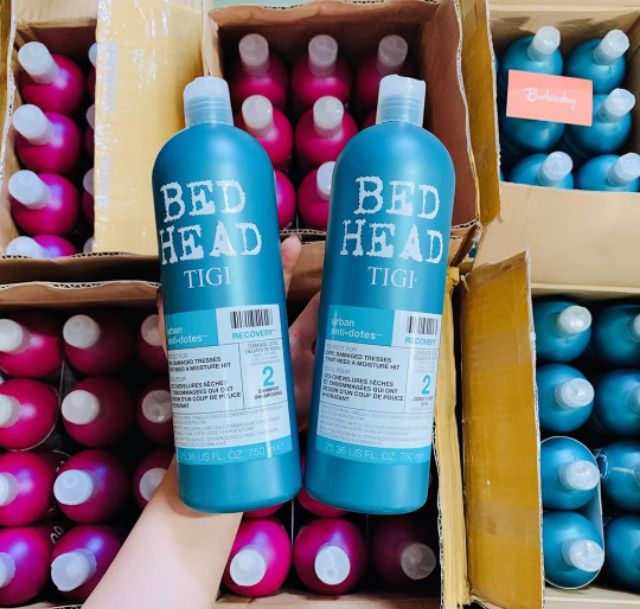 Set Gội Xã Bed Head Tigi