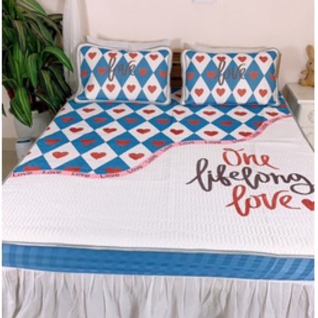 Chiếu bo chun cao su non 5D loại 1 thoáng mát ,dày dặn (tặng kèm 2 vỏ gối)