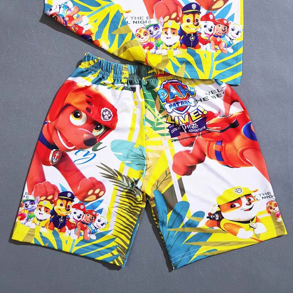 Bộ thun cotton lạnh in 3d paw patrol biệt đội chó cứu hộ cho bé trai