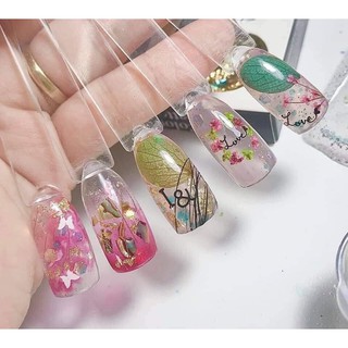 hoa khô Cánh mỏng trang trí ẩn móng
