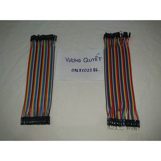 Dây Bus đực cái 20cm