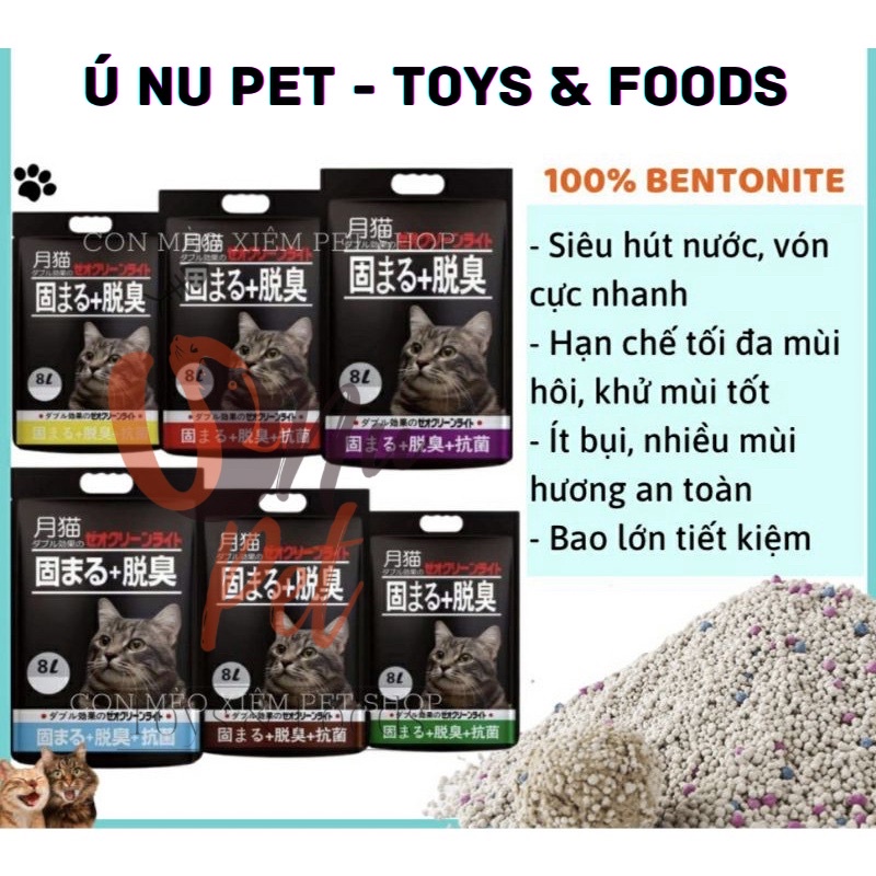 Cát Nhật Đen Moon Cat