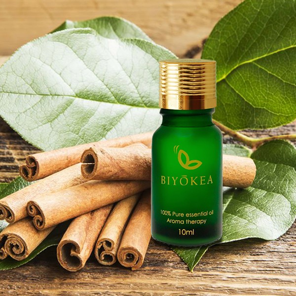 Tinh dầu Vỏ Quế xông hương