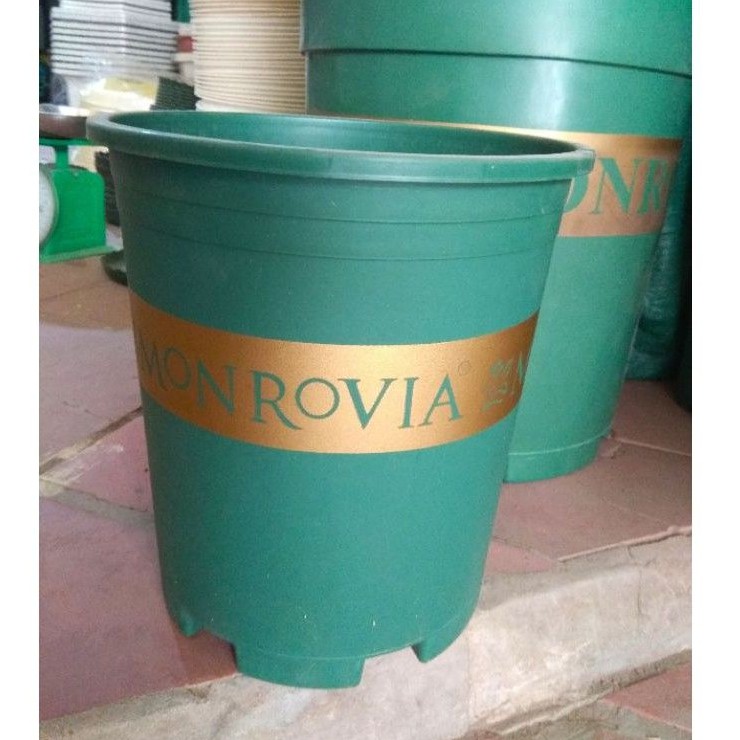 Chậu nhựa trồng hoa Monrovia 2gal _ Chậu Mon hàng loại 1 cty VN