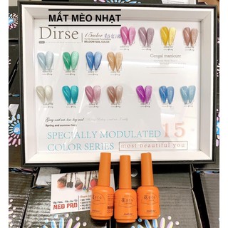 set sơn gel mắt mèo 9D 15 chai ( tặng kèm bảng màu )