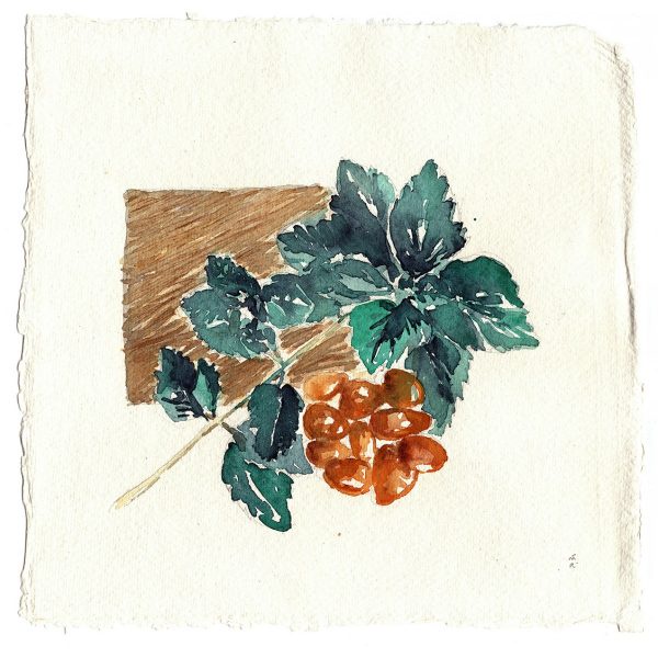 Nước hoa dùng thử Amouage Enclave 5ml/10ml/20ml | BigBuy360 - bigbuy360.vn