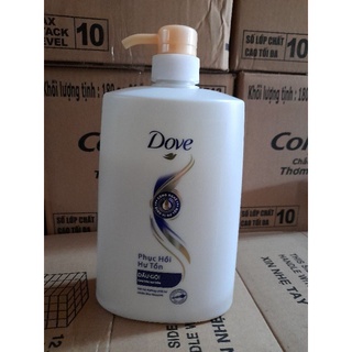 Dầu gội Dove 880g