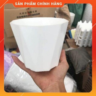 Chậu kim cương trắng trồng hoa Kích thước 13x15cm.