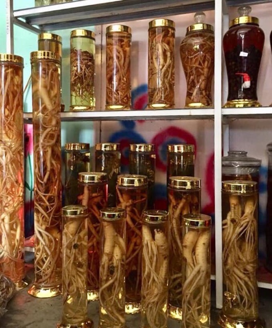 🍁👌1 ký SÂM DÂY Ngọc linh 🌿💕⭐️