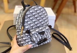 Balo dior nhỏ