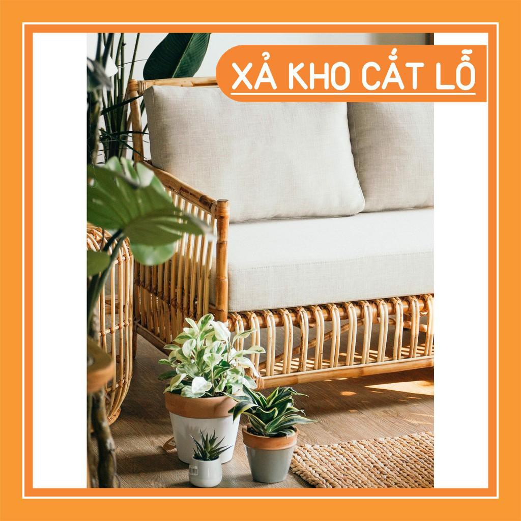 [Giá Gốc] gường mây, sofa mây dài nội thất phòng khách, quán cafe, homestay, khu nghỉ dưỡng CAO CẤP