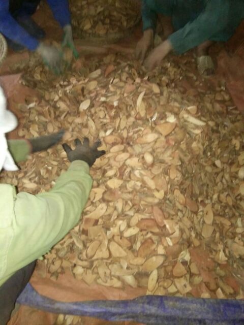 [Mã 267FMCGSALE giảm 8% đơn 500K] Cỏ máu GIA TRUYỀN (chia ấm sẵn) tăng cân, bổ máu | BigBuy360 - bigbuy360.vn