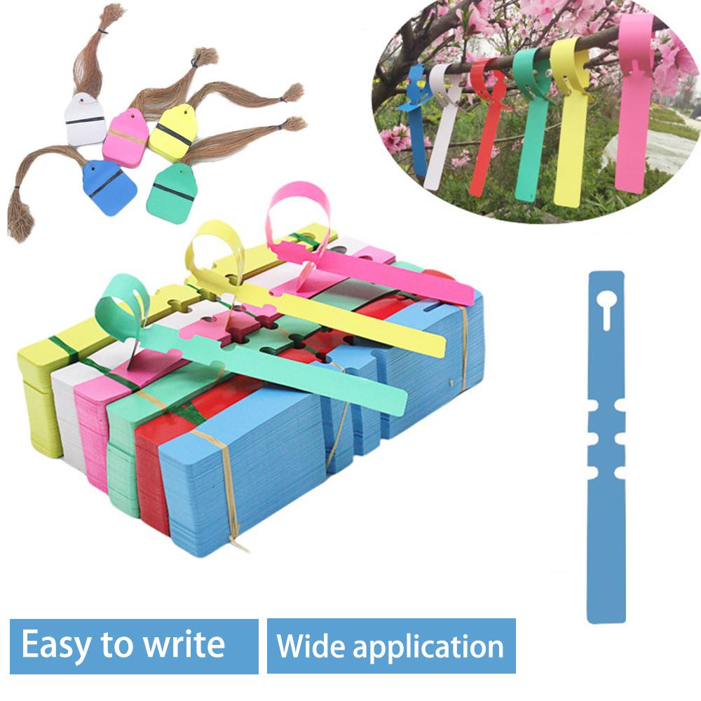 Set 100 Thẻ Ghi Chú Đánh Dấu Cây Trồng Nhiều Màu Tiện Dụng