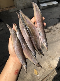 Chạch đồng 1 nắng 1kg
