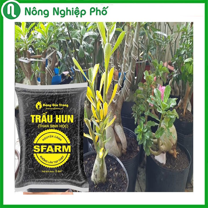 Giá thể trấu hun nguyên cánh SFARM - Túi 5dm3 ~ 400gram