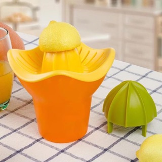 Dụng cụ vắt nước cam, chanh