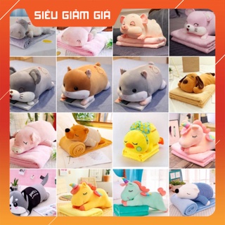 Gấu bông có mền - chăn gối văn phòng 3in1